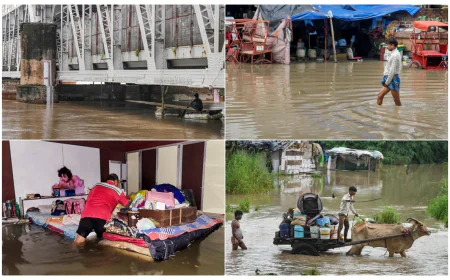 दिल्ली में यमुना नदी के उफान से बढ़ा बाढ़ का खतरा, निचले इलाकों में जलमग्न हालात.