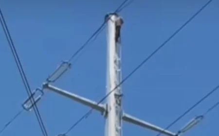 AIIMS अस्पताल के पास बिजली के पोल पर चढ़ा शराबी, बासनी पुलिस ने दिखाई तत्परता.