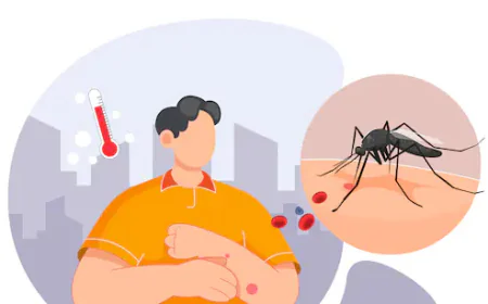 बारिश के बाद डेंगू, मलेरिया और स्क्रब टाइफस ने बढ़ाई चिंता, अस्पताल में बढ़ रही मरीजों की संख्या