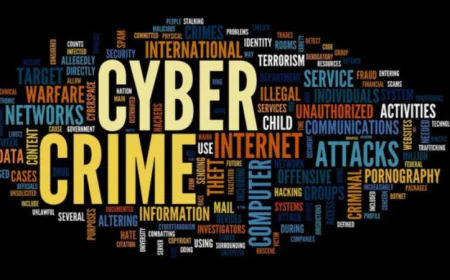 साइबर ठगों का नया जाल, ऑनलाइन नौकरी का लालच देकर युवती को फंसाया, लाखों की ठगी