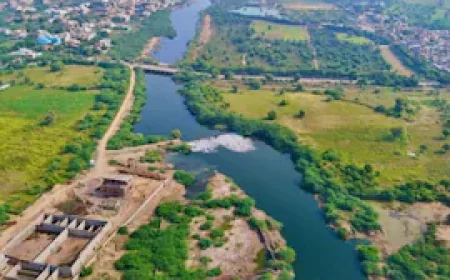 जोजरी नदी बना जहरीली नाली, सुप्रीम कोर्ट ने कहा - गांवों में नहीं बचा पीने लायक पानी