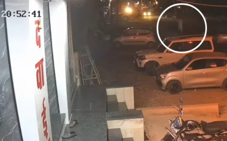 डिनर की मधुर शाम से मौत की काली रात... जोधपुर की सड़क पर बुजुर्ग की जान ले गई बेकाबू कार.