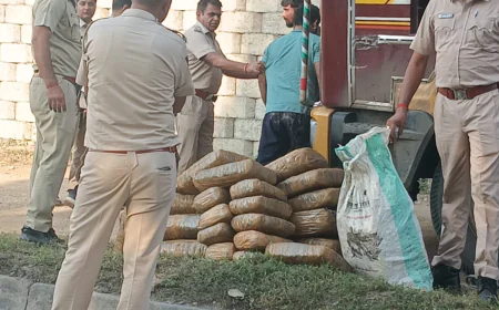 नाकाबंदी के दौरान ट्रक से 2 क्विंटल गांजा जब्त, दो तस्कर गिरफ्तार