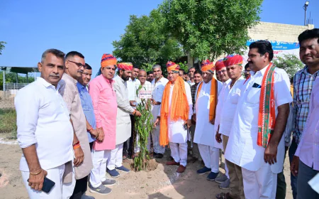 वृक्ष लगाकर मनाया जन्मदिन: कैलाश चौधरी ने दिया पर्यावरण बचाने का संदेश