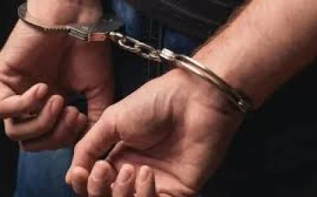 एयरपोर्ट पर DRI की छापेमारी में 10 किलो हाइड्रोपोनिक गांजा जब्त, तस्कर गिरफ्तार