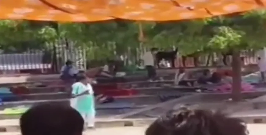 जयपुर शहीद स्मारक पर भूख हड़ताल: नरेश मीणा ने समर्थकों पर थप्पड़-लातें मारीं, नेतृत्व पर सवाल