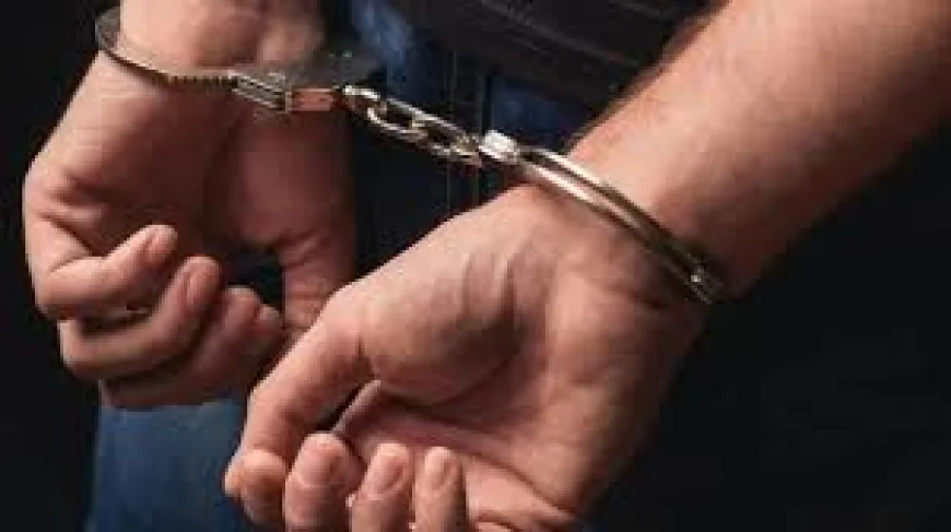 एयरपोर्ट पर DRI की छापेमारी में 10 किलो हाइड्रोपोनिक गांजा जब्त, तस्कर गिरफ्तार