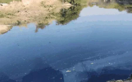 "सुप्रीम कोर्ट में लूनी-बांडी-जोजरी नदियों के प्रदूषण पर अहम सुनवाई: पर्यावरण और आजीविका की रक्षा की उम्मीद"