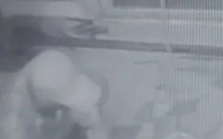 "बाड़मेर के प्राचीन शिव मंदिर में चोरी: चांदी का मुकुट और शिवलिंग गायब, CCTV में कैद हुआ चोर"