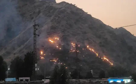 बालोतरा में पहाड़ी पर भयंकर आग: सूखी घास में लगी चिंगारी ने मचाई तबाही, 700 मीटर तक फैली लपटें, 7 घंटे की कड़ी मशक्कत के बाद बुझी