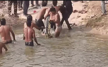 भाई-बहनों ने एक-दूसरे को बचाने में गंवाई जान 4 बच्चों की एनीकट में डूबने से मौत, गांव में मातम .....