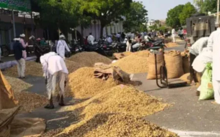 मूंगफली की महक से महक उठी निवाई मंडी 5000 बोरी की रिकॉर्ड आवक, किसानों की उम्मीदें जगाईं.