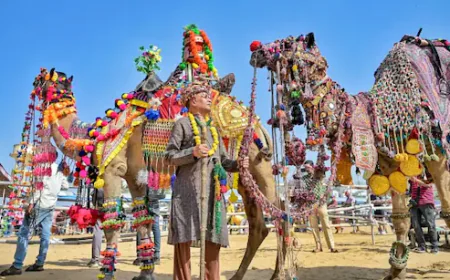 उपमुख्यमंत्री दिया कुमारी ने किया विश्व प्रसिद्ध पुष्कर मेले 2025 का भव्य शुभारंभ, 101 नगाड़ों की गूंज से गूंज उठी ब्रह्मा नगरी