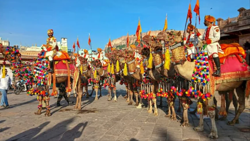 जोधपुर में धूमधाम से मनाया जाएगा मारवाड़ महोत्सव-2025, लोक संस्कृति और ऊंटों की भव्य प्रदर्शनी बनेगी आकर्षण का केंद्र!