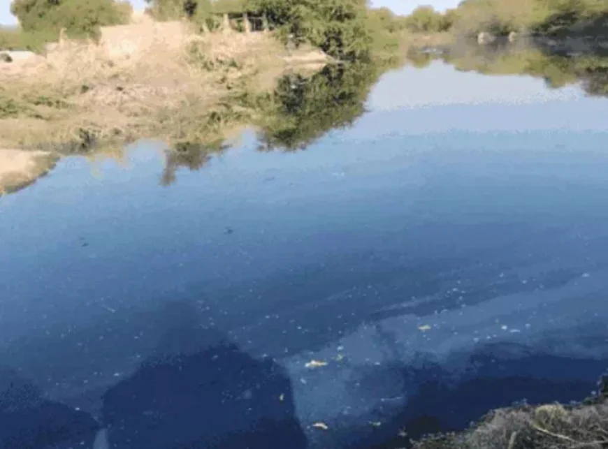 "सुप्रीम कोर्ट में लूनी-बांडी-जोजरी नदियों के प्रदूषण पर अहम सुनवाई: पर्यावरण और आजीविका की रक्षा की उम्मीद"