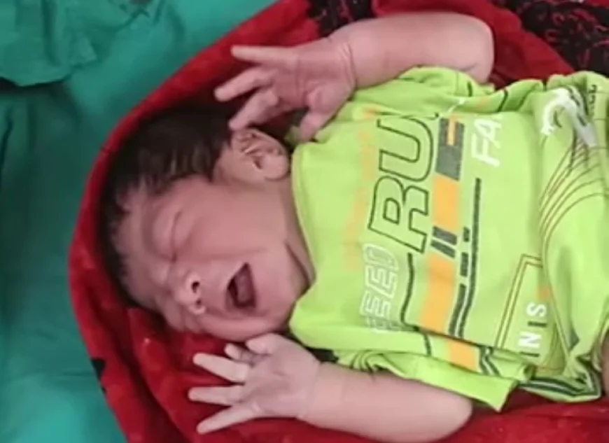 कूड़ेदान में भूख से तड़पता नवजात! एक मां की क्रूरता, एक महिला की ममता ने बचाई मासूम की जान.