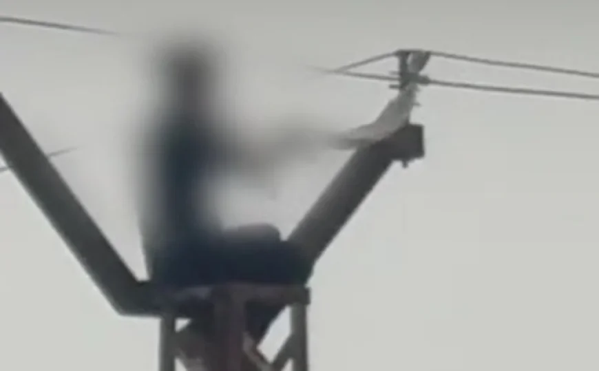 बहन की तलाश में छोटी बहन चढ़ी बिजली के खंभे पर डाला फंदा मंत्री जी को बुलाने की लगाई गुहार—प्रशासन ने काट दी गांव की बिजली