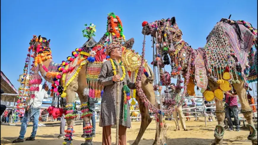 उपमुख्यमंत्री दिया कुमारी ने किया विश्व प्रसिद्ध पुष्कर मेले 2025 का भव्य शुभारंभ, 101 नगाड़ों की गूंज से गूंज उठी ब्रह्मा नगरी