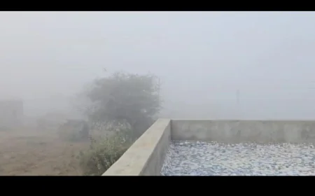 बाड़मेर के सीमावर्ती गांवों में मानसून का असामान्य बदलाव: सर्दी और कोहरा ने बढ़ाई ग्रामीणों की मुश्किलें