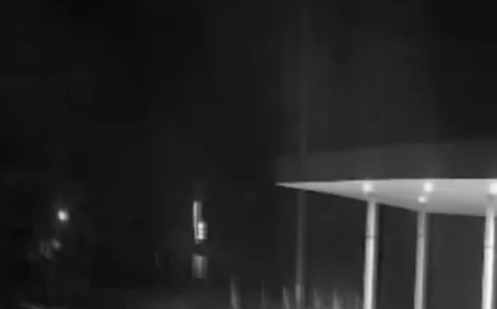 विधायक के बेटे के पेट्रोल पंप पर रात के अंधेरे में डाका: 750 लीटर डीजल लूटकर फरार हुए बदमाश, पुलिस की तलाश तेज