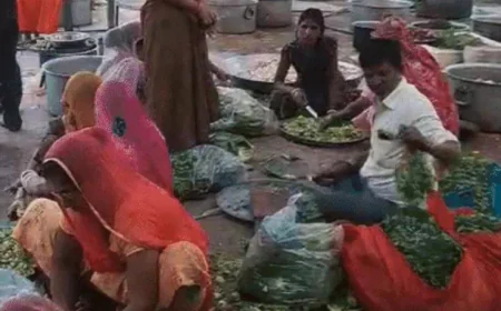 पाली में 70 साल से निभाई जा रही परंपरा: दक्षिण से आए पुजारी ने की थी शुरुआत, अब 50 से ज्यादा मंदिरों में बनता है 'इम्यूनिटी बूस्टर' अन्नकूट