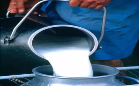 9590 लीटर दूध घोटाला: भरतपुर दूध उत्पादक सहकारी लिमिटेड के एमडी डॉ. राजेश नारायण जाट पर गंभीर आरोप, जांच में साबित हुई अनियमितता