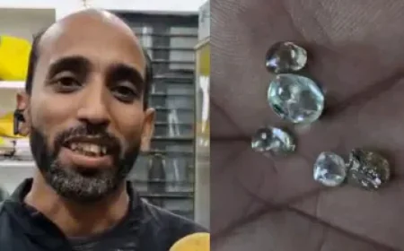 पन्ना की मिट्टी में चमके 5 हीरे किसान ब्रजेंद्र की मेहनत रंग लाई, 5.79 कैरेट के रत्नों से बदलेगी परिवार की किस्मत!