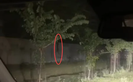 कोटा के माला रोड पर दिखा पैंथर: कार सवार युवक ने बनाया वीडियो, दीवार पर चढ़कर आर्मी इलाके के जंगल में घुसा