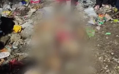 उदयपुर के सुंदरवास में कटे हुए गोवंश के अवशेष मिलने से हंगामा: लोगों ने सड़क जाम की, पुलिस की अनुपस्थिति पर आक्रोश; भाजपा युवा मोर्चा के नेतृत्व में प्रदर्शन