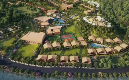 रैपिडो ड्राइवर के खाते में आए 331 करोड़ रुपये: उदयपुर की रॉयल शादी में इस्तेमाल, बोला- मेरे पास घर ठीक कराने के पैसे भी नहीं