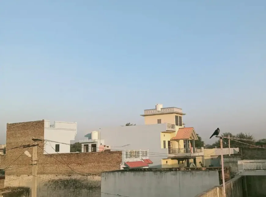 फतेहपुर में 5.5 डिग्री पहुंचा तापमान: कल के मुकाबले 1 डिग्री की गिरावट, प्रदेश में सबसे ठंडा रहा कस्बा