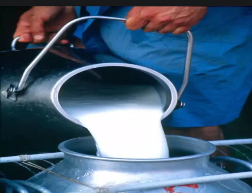 9590 लीटर दूध घोटाला: भरतपुर दूध उत्पादक सहकारी लिमिटेड के एमडी डॉ. राजेश नारायण जाट पर गंभीर आरोप, जांच में साबित हुई अनियमितता