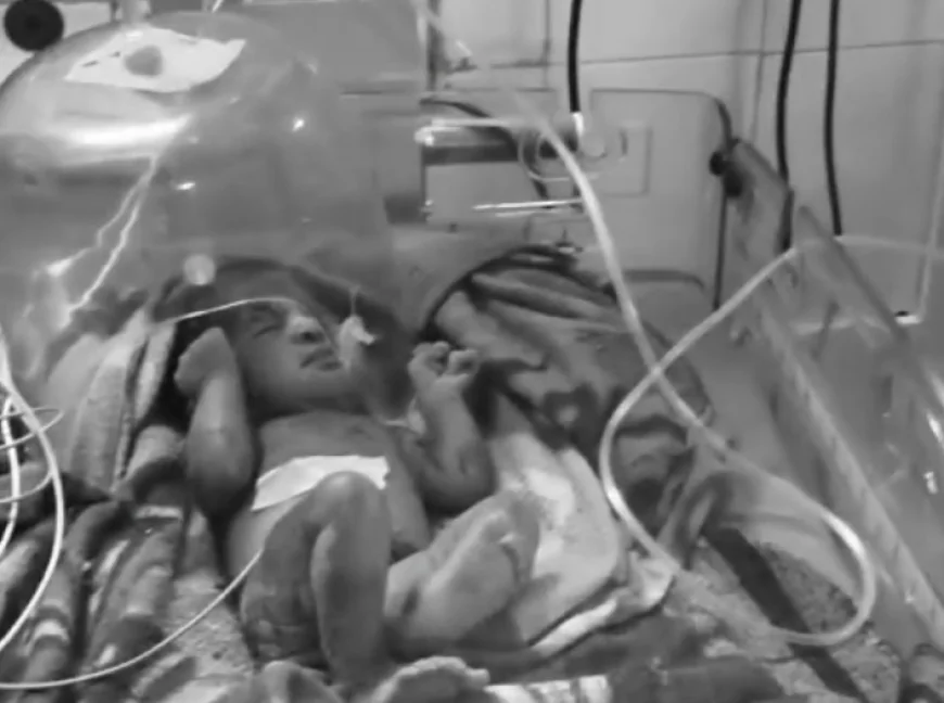 गंगापुरसिटी में मासूम को मौत के मुंह में छोड़ गया कोई अपना — सड़क किनारे मिली नवजात, इंसानियत फिर हुई शर्मसार.