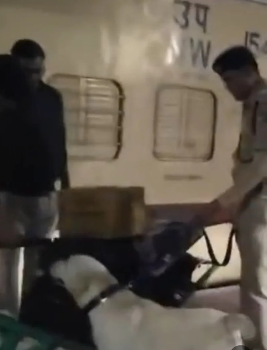 बीकानेर में दिल्ली धमाके के बाद रेलवे सुरक्षा कड़ी: पैसेंजर्स के सामान की सघन तलाशी, दिल्ली मार्ग पर विशेष निगरानी