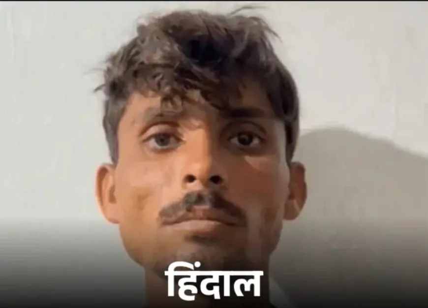 बाड़मेर में पाकिस्तानी घुसपैठिया पकड़ा गया: गायों के बाड़े में छुपकर बैठा था, BSF ने दबोचा