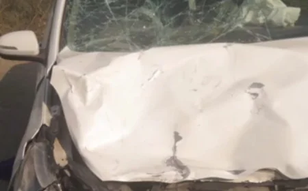 भरतपुर में दर्दनाक सड़क हादसा: कार की तेज रफ्तार से पिता-बेटी की बेरहमी से मौत, ड्राइवर फरार