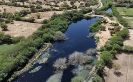 "जोजरी" एक नदी जो रो भी नहीं सकती... फिर भी पुकार रही है – बचाओ मुझे!