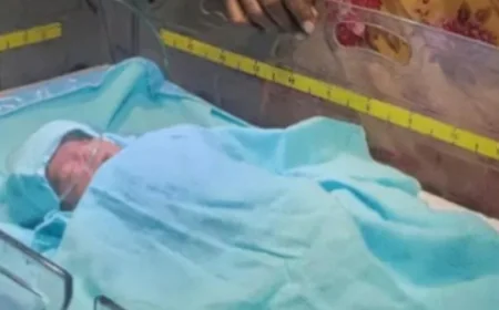 झाड़ियों से मिली खून से सनी नवजात बच्ची, चींटियां चल रही थीं शरीर पर महिला ने सुनकर बचाई जान .