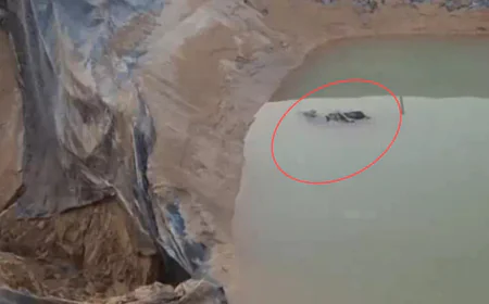 बीकानेर में 18 वर्षीय युवती से दर्दनाक रेप, फिर हत्या: मां बचाने आई तो आरोपी ने बेटी का शव डिग्गी में फेंक दिया, ग्रामीणों ने मोर्चरी पर धरना शुरू