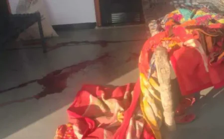 उदयपुर के सलूंबर में दिल दहलाने वाली हत्या: बुजुर्ग गौरी के पैर टुकड़े-टुकड़े, 5 साल के नाती सुरेंद्र की भी बेरहमी से हत्या