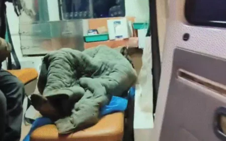 सवाई माधोपुर में दिल दहला देने वाला हादसा: शॉर्ट सर्किट से लगी आग में दो मासूम बहनें जिंदा जल गईं, पैर पिघले, जीभ बाहर लटक गई