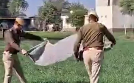 राजस्थान के झुंझुनूं में खूनी गैंगवार: दो बदमाशों की मौत, फायरिंग के बाद एक आरोपी ने किया सुसाइड, पुलिस ने तीन को हिरासत में लिया