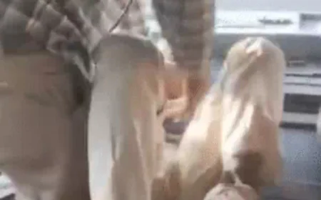 चलती रोडवेज बस में कंडक्टर ने यात्री को पीटा: खुले पैसे के विवाद में हाथापाई, ब्रेक लगते ही केबिन का कांच टूटा, वीडियो वायरल