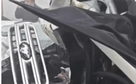 फरीदाबाद में दिल्ली-मुंबई एक्सप्रेसवे पर घनी धुंध से भयानक हादसा: फोर्ड एंडेवर खड़े कंटेनर में घुसी, दो लोगों की मौत