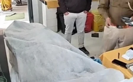 नदबई में दर्दनाक सड़क हादसा: तेज रफ्तार ट्रोले ने बाइक सवार युवक को कुचला, मौके पर मौत