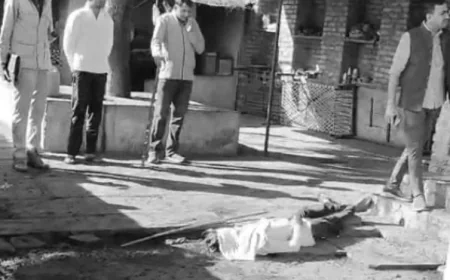 चित्तौड़गढ़: महिला ने कुल्हाड़ी से पति की गर्दन काट दी, हत्या के बाद कुएं में कूदकर आत्महत्या की कोशिश; ग्रामीणों ने बचाया