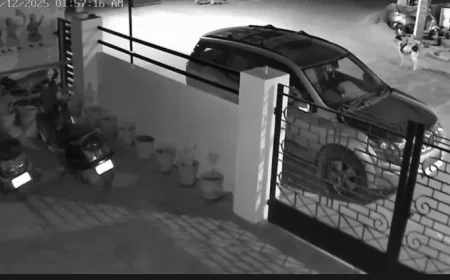 उदयपुर में लेपर्ड की दहशत: 18 घंटे में अलग-अलग जगहों पर नजर आए दो तेंदुए, CCTV में कैद हुई मूवमेंट, वन विभाग अलर्ट