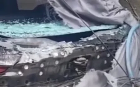 भरतपुर में जर्जर बिजली पोल गिरने से हादसा: कार का पिछला शीशा टूटा, बड़ा जानलेवा हादसा टला