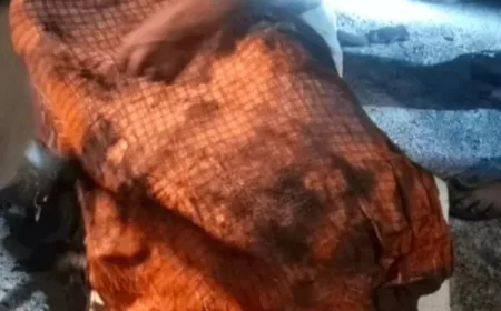 जोधपुर: भारतमाला एक्सप्रेस-वे पर भयानक हादसा, मूंगफली से भरे ट्रक में आग लगने से ड्राइवर जिंदा जला, 5 किमी लंबा जाम