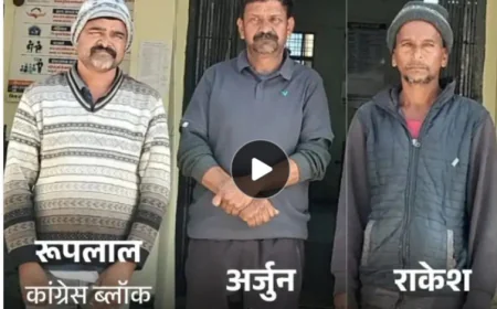 उदयपुर में राष्ट्रीय पक्षी मोर के शिकार का सनसनीखेज मामला: कांग्रेस ब्लॉक अध्यक्ष सहित तीन गिरफ्तार